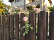 Секреты кавказского долголетия для вашего забора