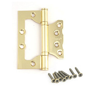 Петля накладная Avers 100х75х2,5-B2-GM