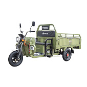 Трицикл EVZHC-011