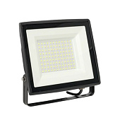 Прожектор светодиодный СДО-3006 100Вт 6500К IP65 EKF Basic