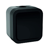 Выключатель кнопочный 1-клавишный ОП Tors 10A IP55 TS110 графит